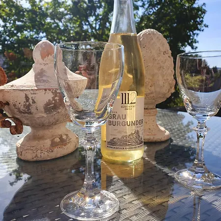 Kleines Domizil Am Suedhang Ortenberg (Hessen)